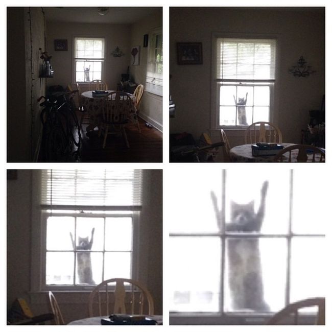 Ward's Random Picture Dump