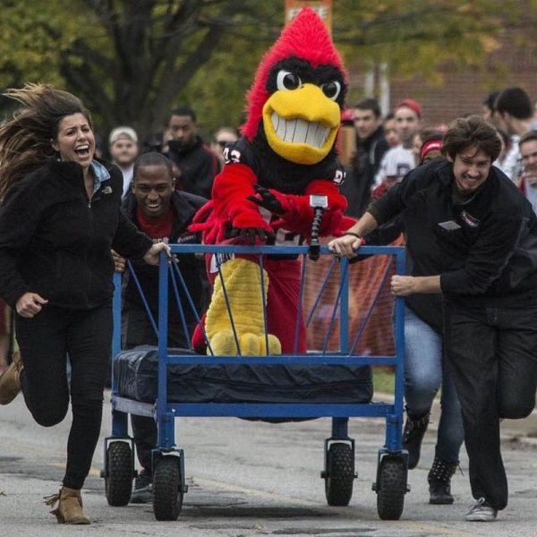 Ward's Random Picture Dump