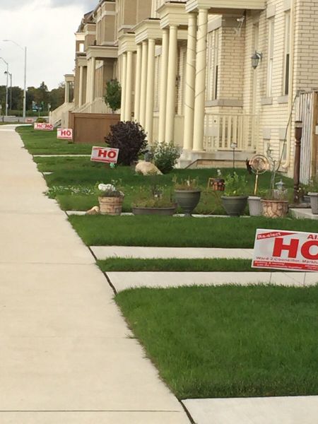 Ward's Random Picture Dump