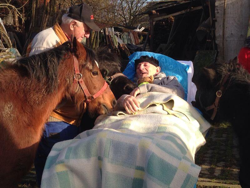 His last wish was seeing his ponys