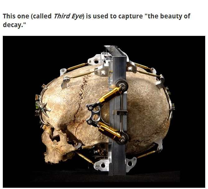 Camera Made from a human skull