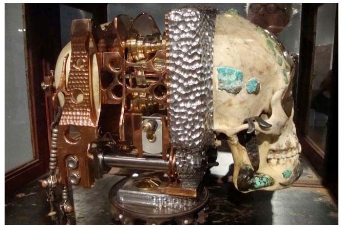 Camera Made from a human skull