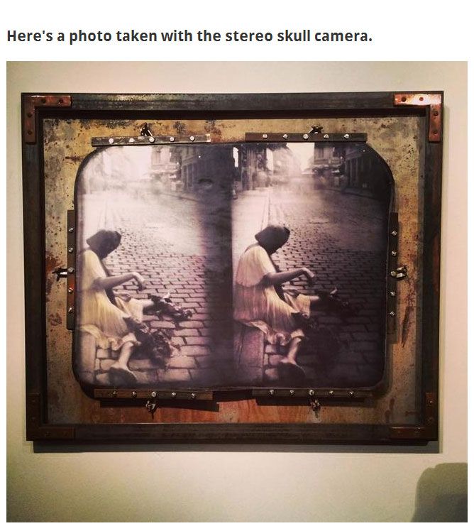 Camera Made from a human skull