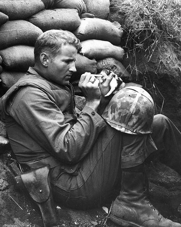 Marine Sergeant Frank Praytor feeding a two-week old kitten after her mother was killed.