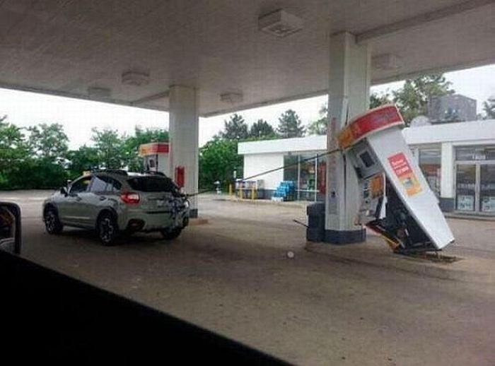 Ward's Random Picture Dump