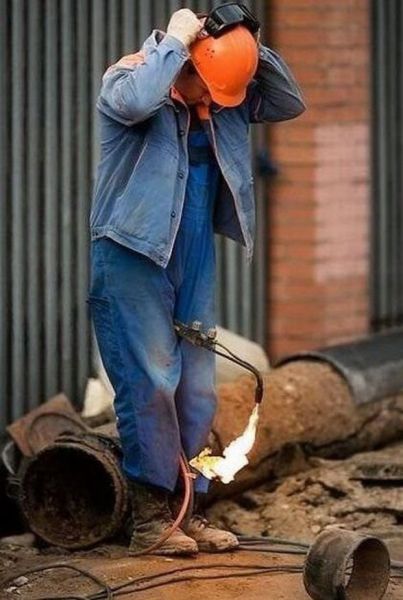 Ward's Random Picture Dump