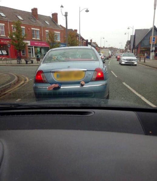 Ward's Random Picture Dump