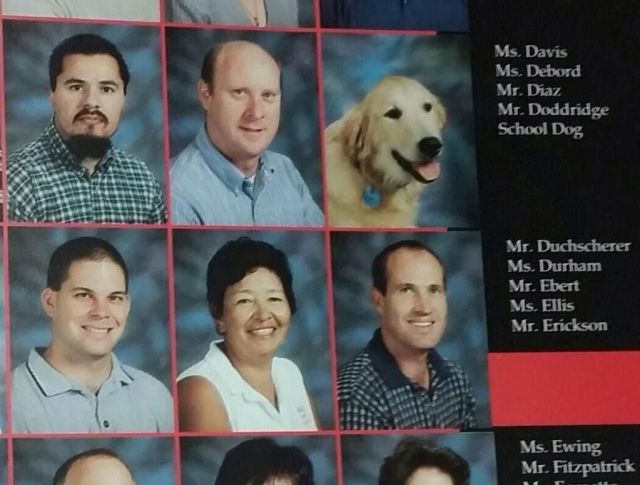 Ward's Random Picture Dump