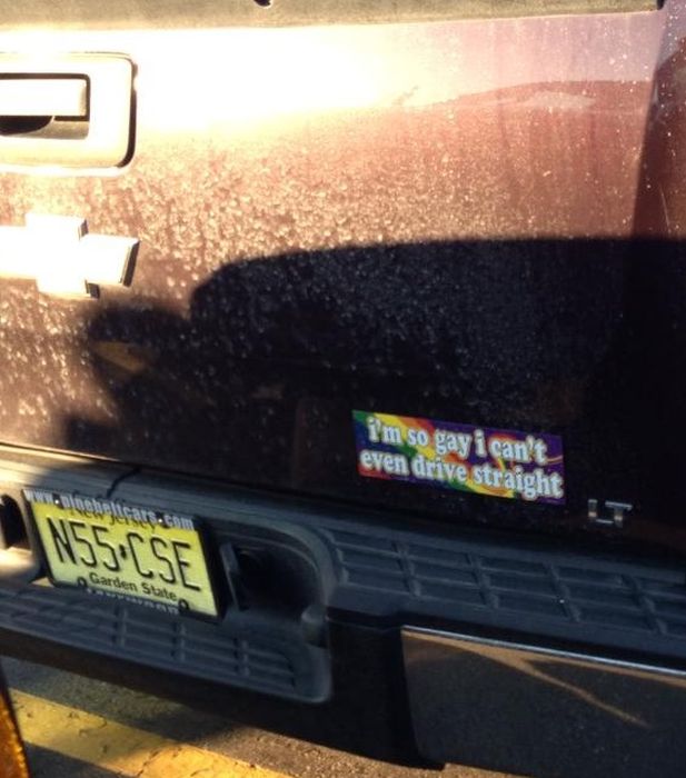 Not Your Average Bumper Stickers