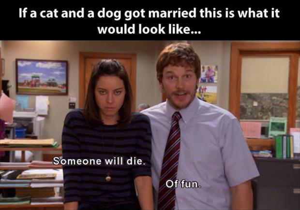 parks and rec andy and april - If a cat and a dog got married this is what it would look ... someone will die Someone will die. Of fun.
