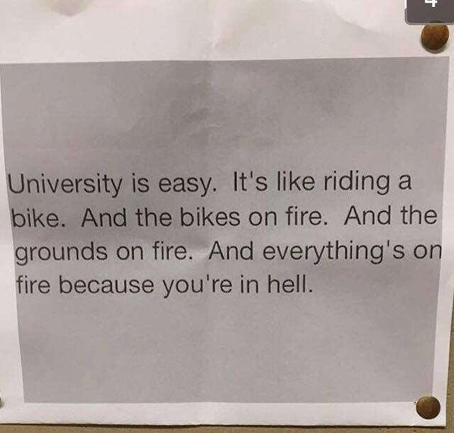 studying is like riding a bike - University is easy. It's riding a bike. And the bikes on fire. And the grounds on fire. And everything's on fire because you're in hell.
