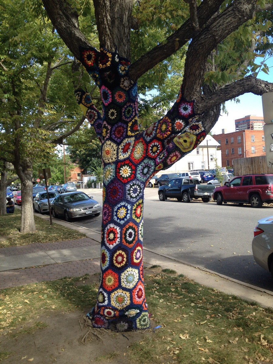Someone knitted a sweater around this tree