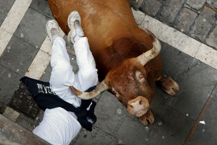 A Miuras fighting bull horns a runner at Calle Estafeta during the ninth day of the San Fermin Running Of The Bulls festival on July 14 in Pamplona, Spain.