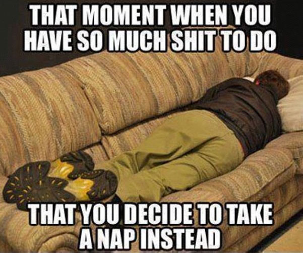 funny memes nap - That Moment When You Have So Much Shit To Do That You Decide To Take A Nap Instead