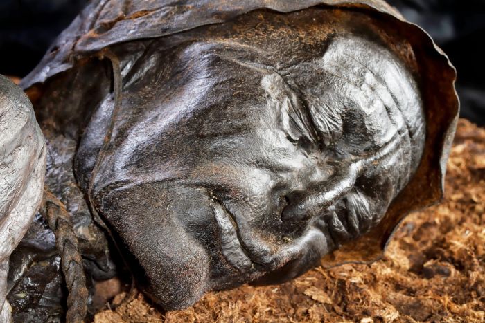 Meet Tollund Man, a corpse that has been perfectly preserved in bog for approximately 2300 years