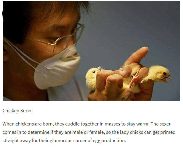 10 jobs you didn't know existed