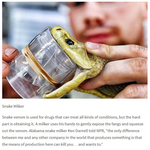 10 jobs you didn't know existed