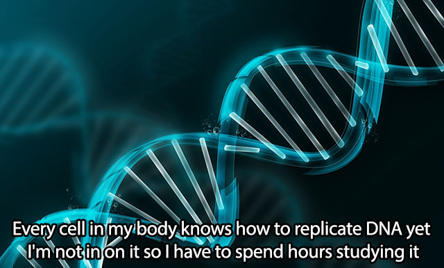 Every cell in my body knows how to replicate Dna yet I'm notin on it so I have to spend hours studying it
