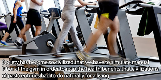burn calories at the gym - Society has become so.civilized that we have to simulate manual labor at the gym in order to reap the health benefits that civilizations of past centuries had to do naturally for a living