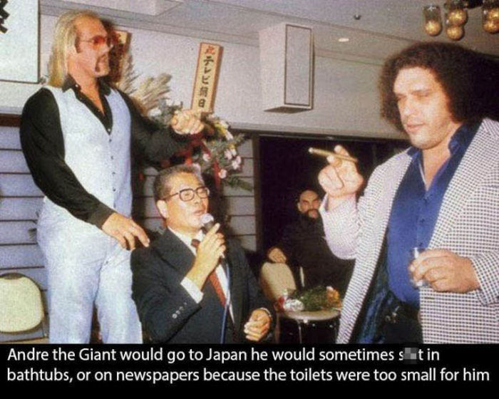 18 Andre The Giant Photos and Facts - Wow Gallery