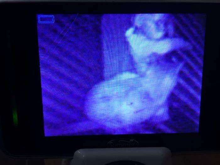 11 Baby Monitors That Show Babies Possessed by Demons