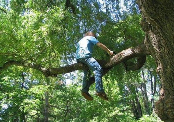 24 Dumb People Doing Dumb Things