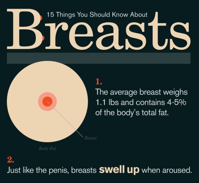 Things you might not know about boobs