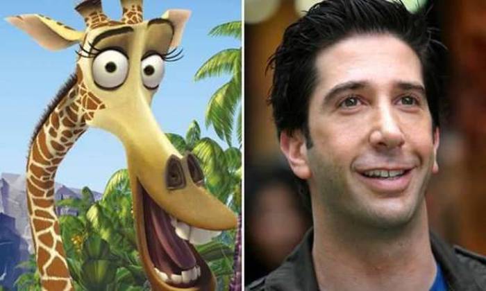 David Schwimmer – Melman from Madagascar