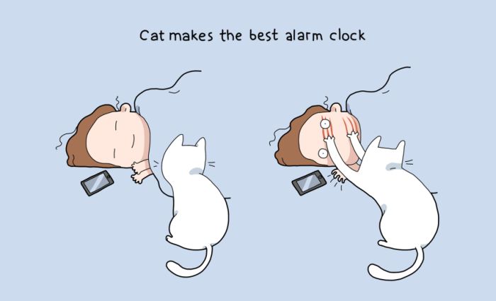 Pluses of having a cat