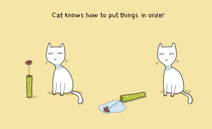 Pluses of having a cat