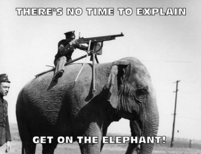 machine gun on elephant - There'S No Time To Explain Get On The Elephant!