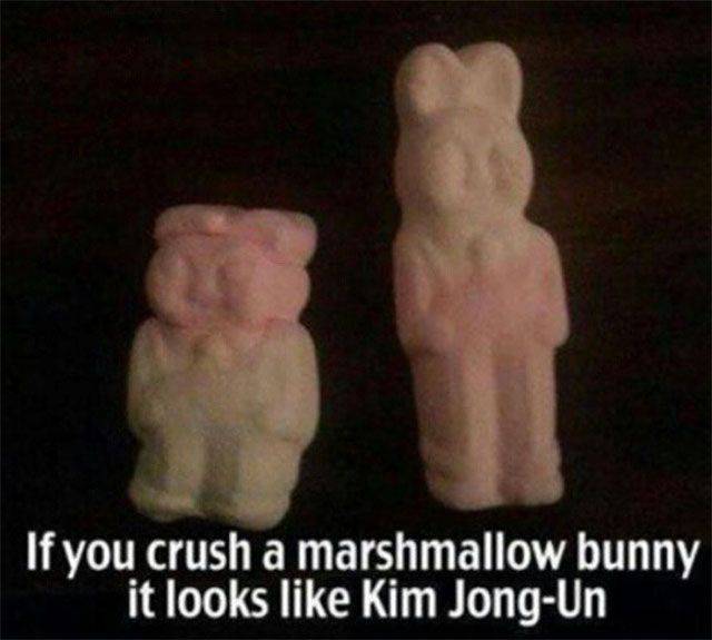 kim jong un marshmallow meme - If you crush a marshmallow bunny it looks Kim JongUn