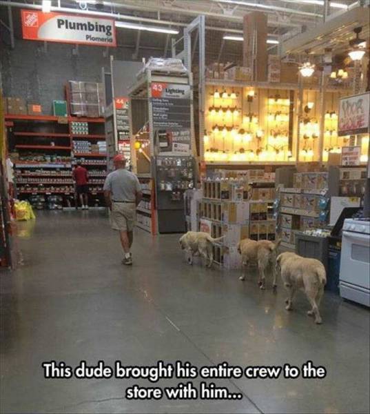 Internet meme - Plumbing Plomeria This dude brought his entire crew to the store with him...