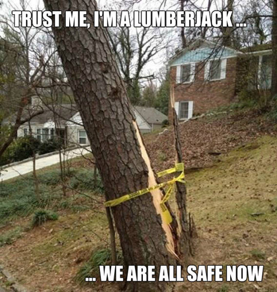 lumberjack funny - Trust Me, I'M A Lumberjack ... We Are All Safe Now