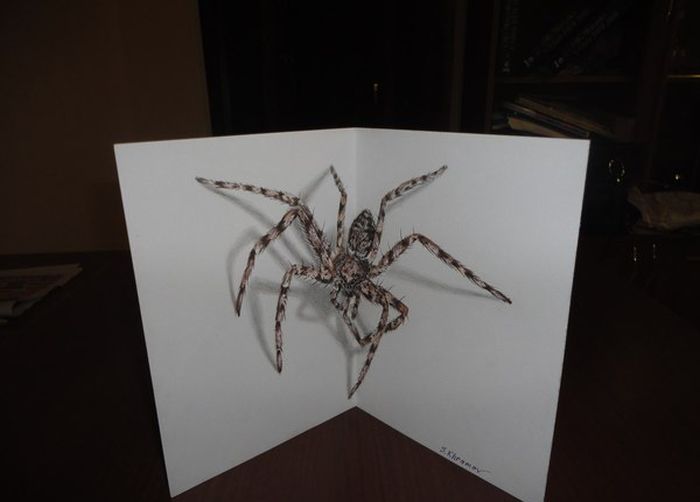 3d drawing of a spider