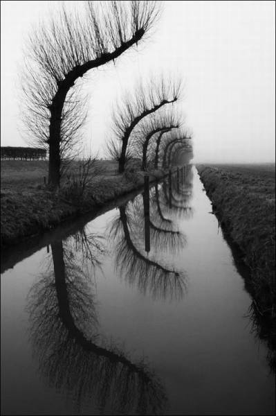 black and white landscape reflection