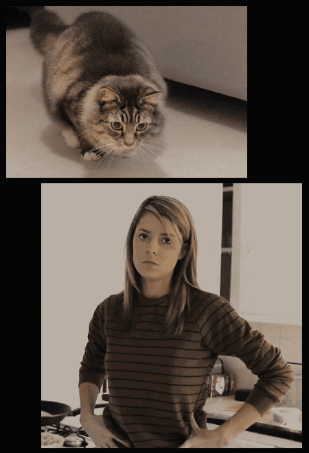 2 gifs of a cat shaking her hips and woman shaking hips