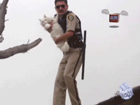 This will give you a cookie eating grin