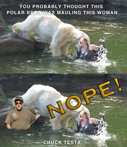 I bet you thought this polar bear was mauling this woman...