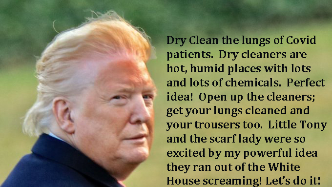 Dry clean the virus from the lungs.