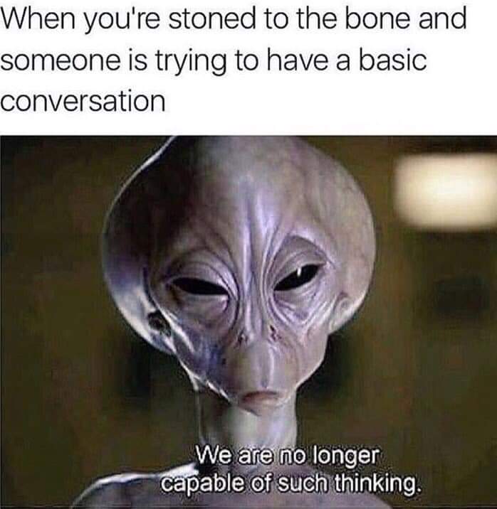 you re stoned to the bone meme - When you're stoned to the bone and someone is trying to have a basic conversation We are no longer capable of such thinking.
