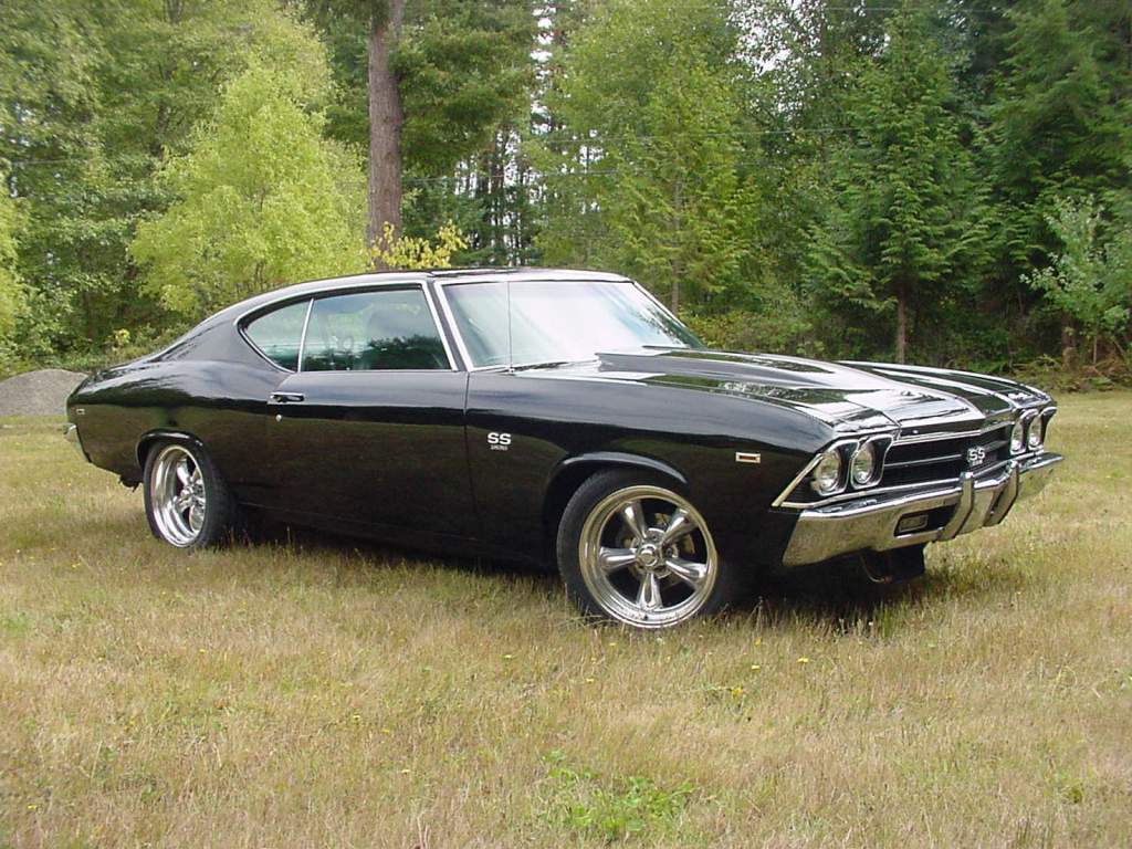 The Chevy Chevelle was the Best Selling Car of 1969.