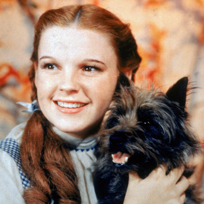 Judy Garland died of a drug overdose.