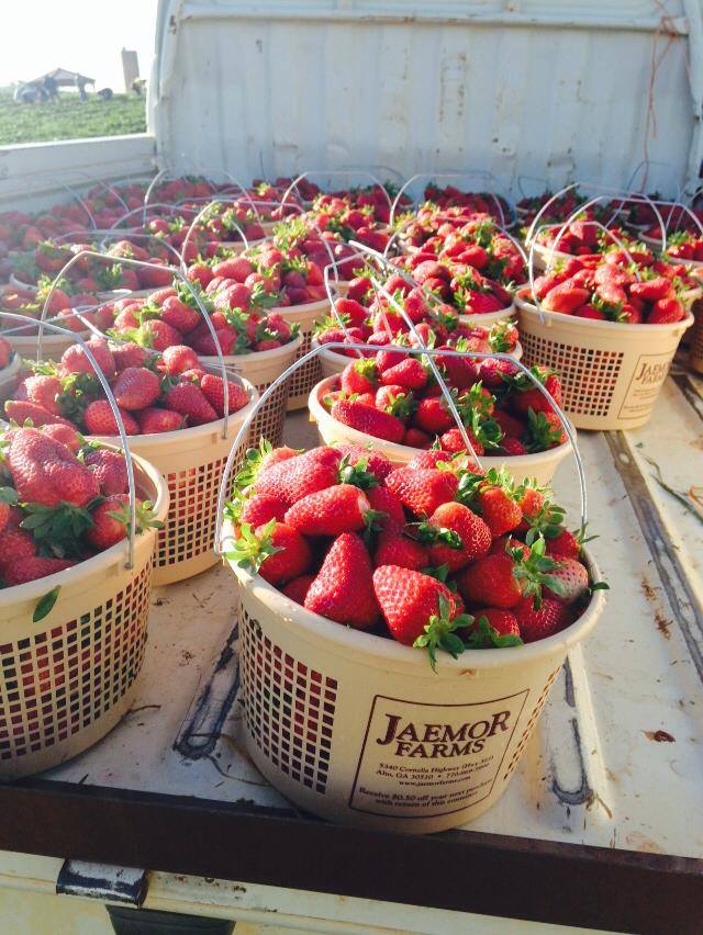 RIP: Another Random Internet Pic Collection