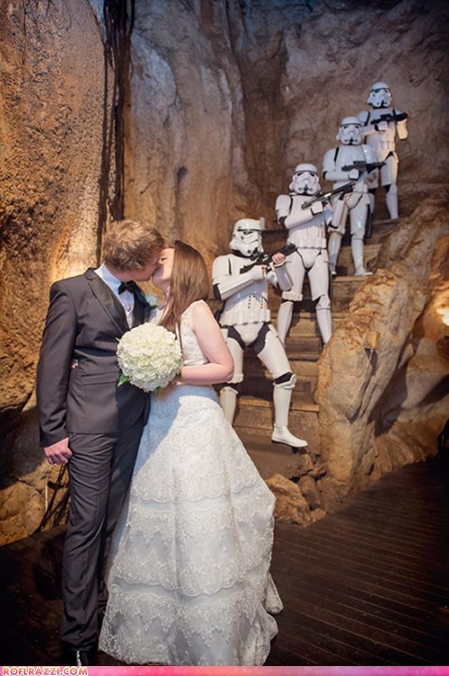 Humorous Wedding Photos