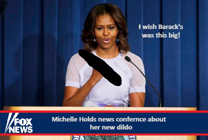 Michelle Obama's News Conference - Gallery | EBaum's World