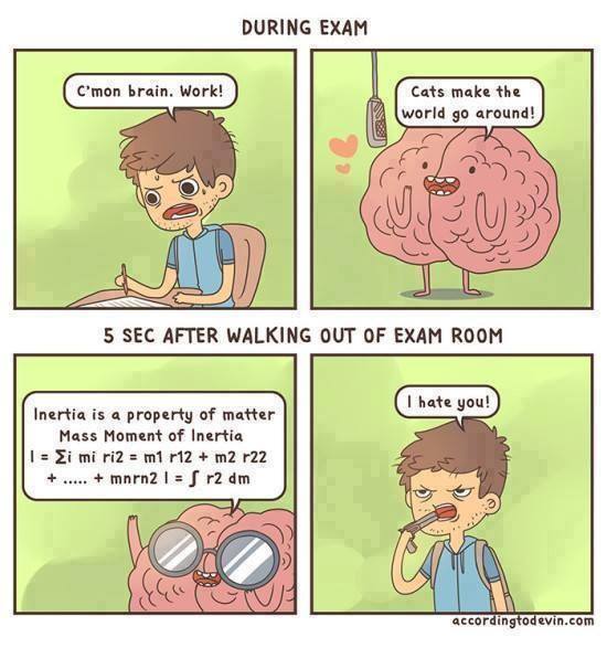 my brain during exams - During Exam C'mon brain. Work! Cats make the world go around! 5 Sec After Walking Out Of Exam Room I hate you! Inertia is a property of matter Mass Moment of Inertia | Ei mi ri2 m1 r12 m2 r22 ... mnrn2 I S r2 dm accordingtod evin.c