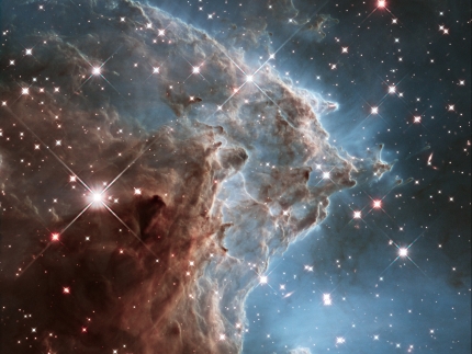This colorful Hubble Space Telescope mosaic of a small portion of the Monkey Head Nebula unveils a collection of carved knots of gas and dust silhouetted against glowing gas