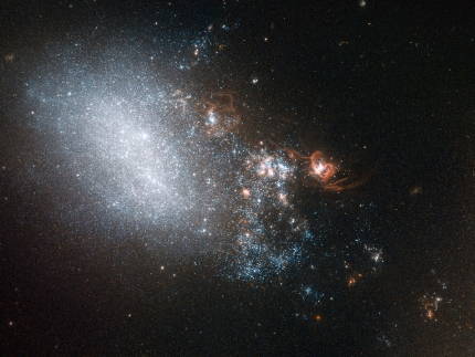 This image from NASA ESA's Hubble Space Telescope shows galaxy NGC 4485 in the constellation of Canes Venatici, The Hunting Dogs