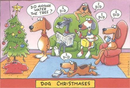 Christmas Day Funnies